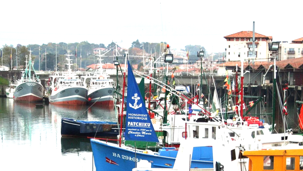 La fête du thon à Saint-Jean-de-Luz